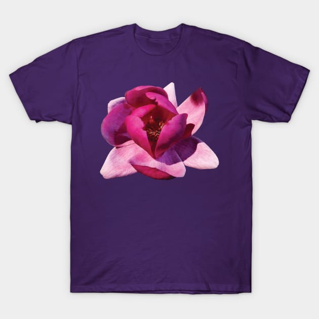 Magnolias - Pink Magnolia Closeup T-Shirt by SusanSavad